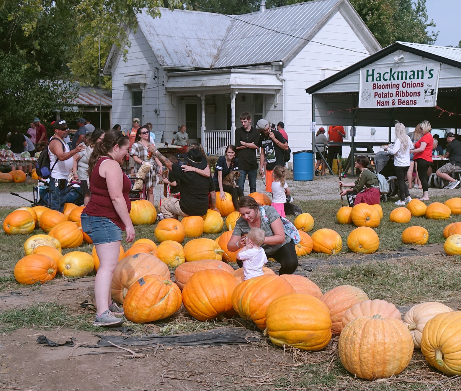 Families pick out pumpkins at the Hartsburg Pumpkin Festival